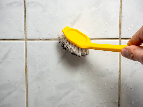 Best Kitchen Mold Remediation in Lake San Marcos, CA
