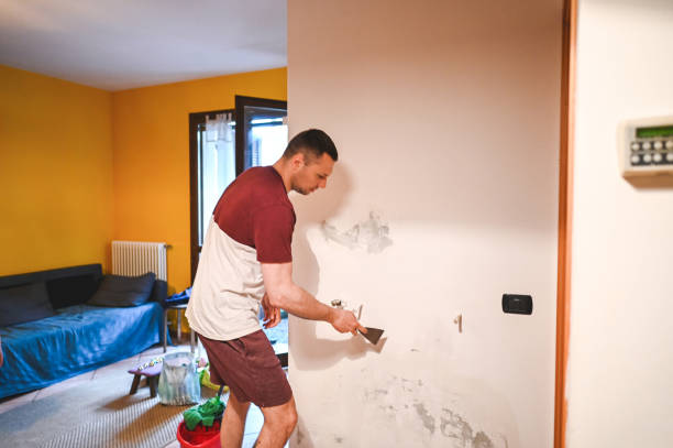 Best Industrial Mold Remediation in Lake San Marcos, CA